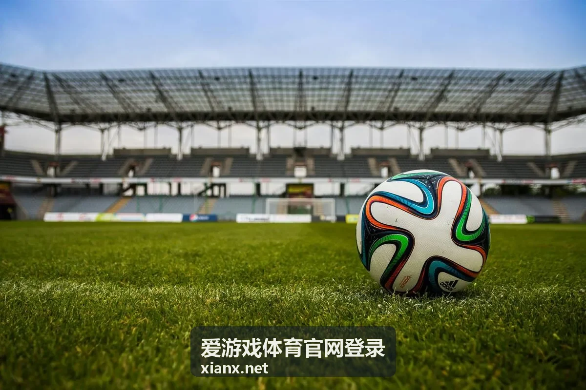 爱游戏体育官网登录流程说明封面